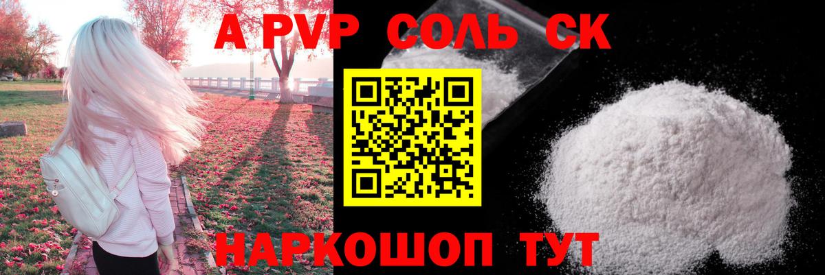 Альфа ПВП СК Магадан