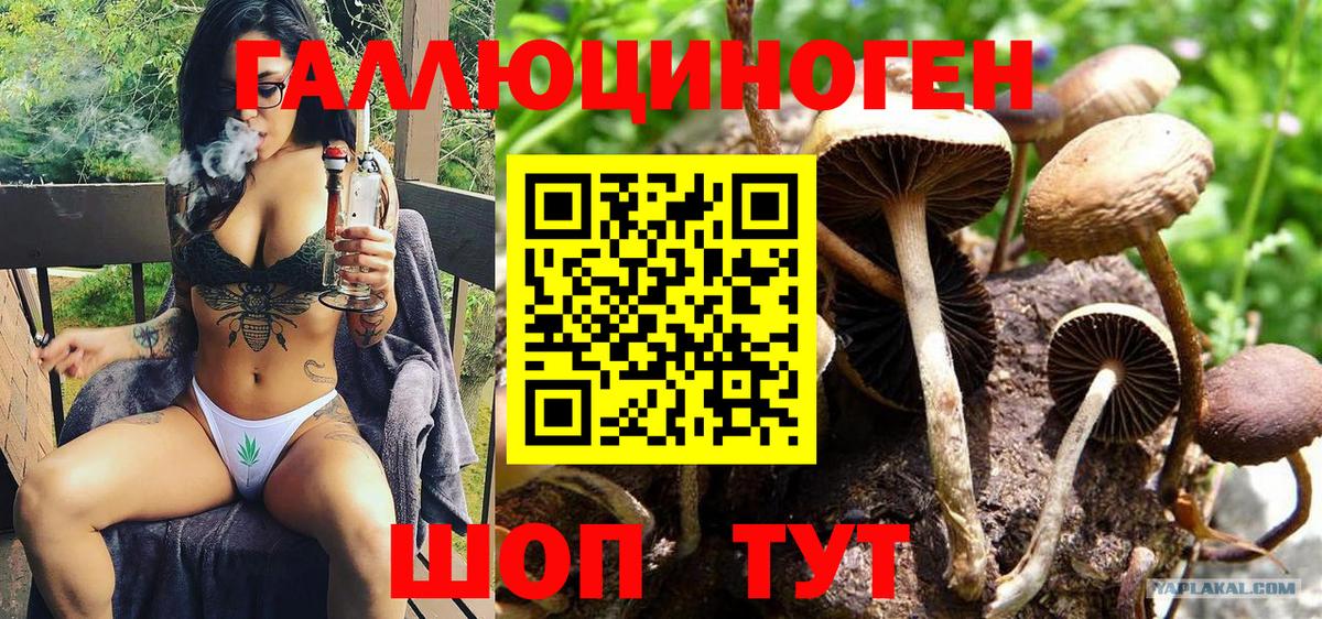 Псилоцибиновые грибы GOLDEN TEACHER  Вход с VPN  Галлюциногенные грибы Cubensis  Магадан 